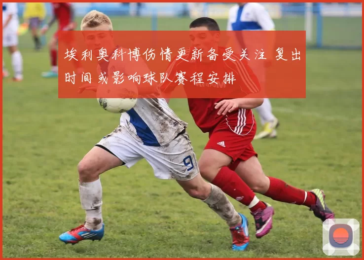 埃利奥科博伤情更新备受关注 复出时间或影响球队赛程安排