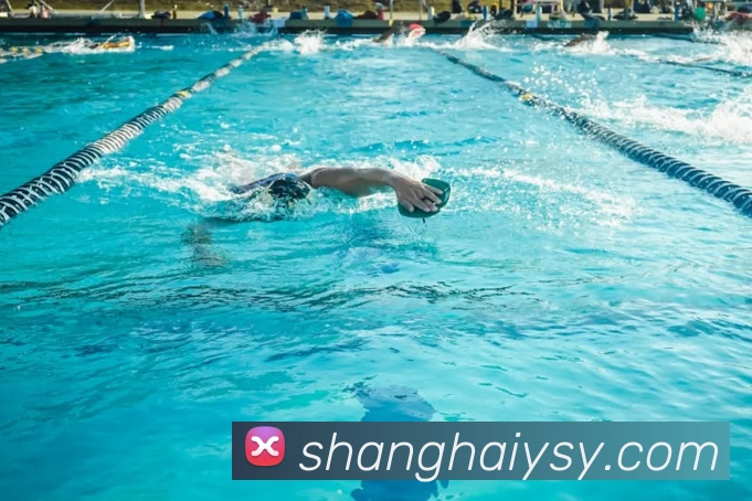 多媒体互动体验